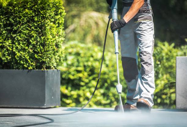 Best Spring Cleaning  in Chelsea Cove, NY