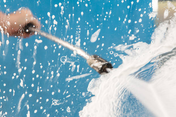 Animal Enclosure Cleaning in Chelsea Cove, NY